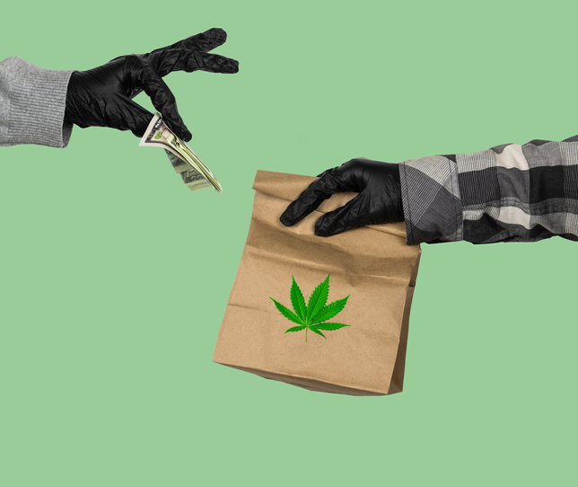 Cannabis Delivery: What To Know Before You Get Started | BLAZE